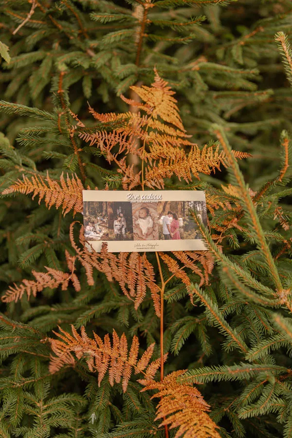 Bon cadeau à offrir