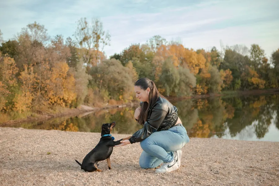Séance portrait avec votre animal