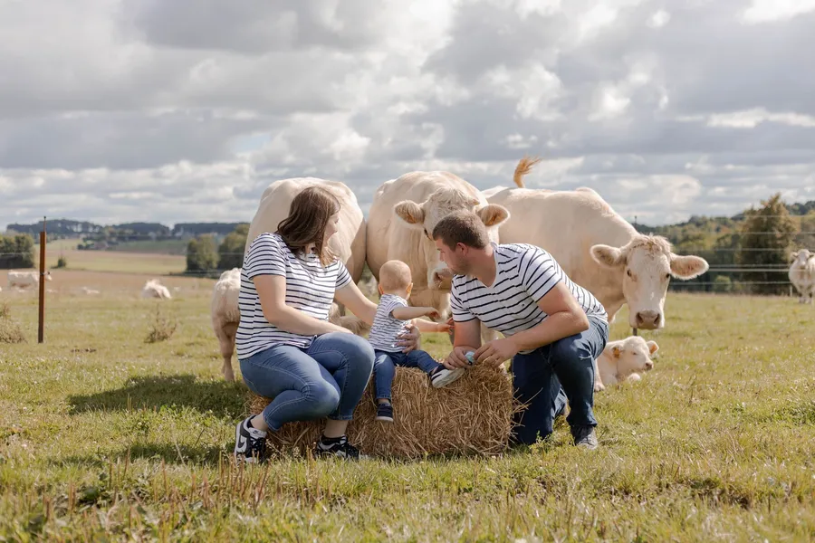 Séance en famille dans un champ avec des vaches