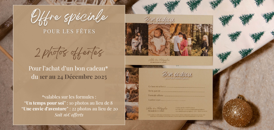 Offre promotionnelle pour les bons cadeaux de Noël